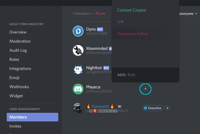 How to Make Someone Admin on Discord